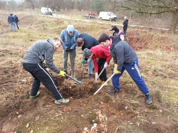 Pflegeaktion im Naturschutzgebiet „Großer Sand“ am 03.02.16