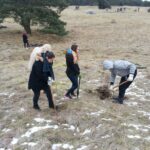 Biotop-Pflege-Aktion im Mainzer Sand