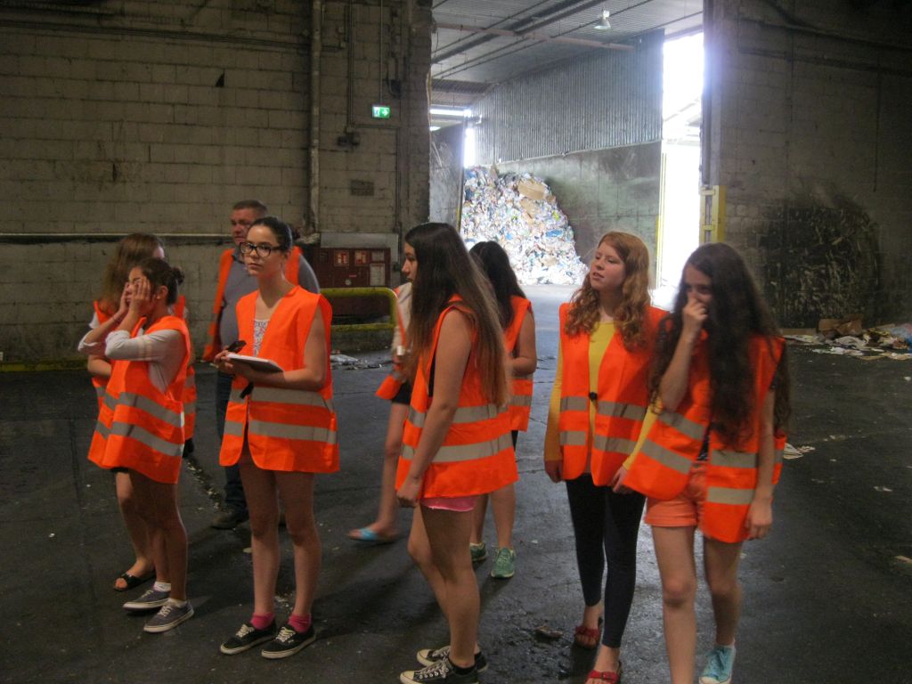 Nachgeforscht: Was passiert mit unserem Verpackungsmüll?