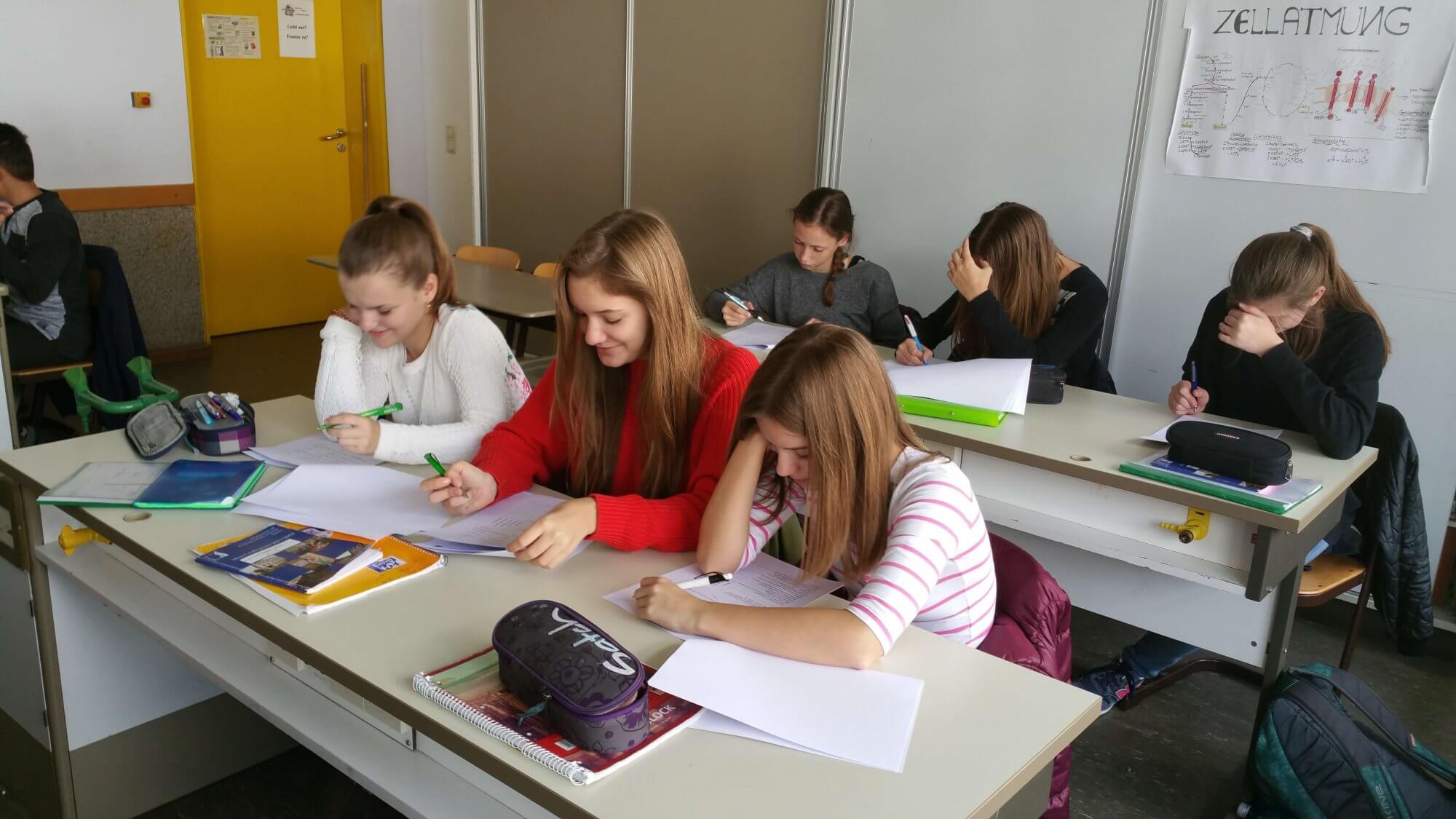 Schlossschülerinnen und Schüler helfen bei einer Forschungsstudie zum Thema Hummel mit
