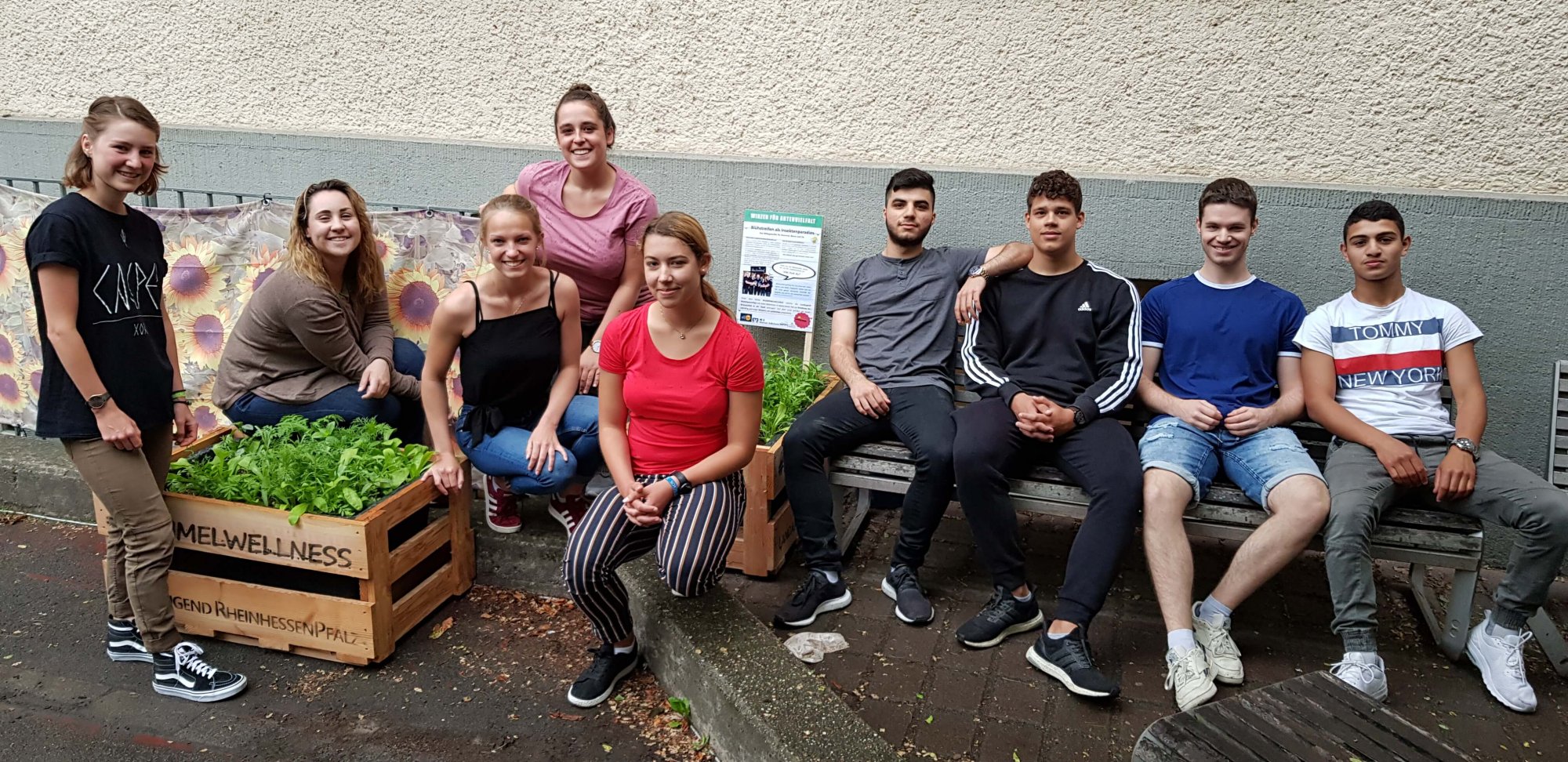 Schlossgymnasium übernimmt Patenschaft für Blühkisten