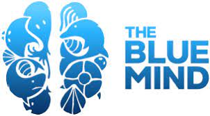 The Blue Mind: Bio-Lks der MSS 12 auf der Suche nach Plastik