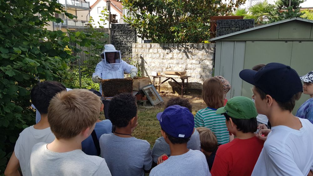 5c | Der Ausflug zu Frau Göttens Bienenstock