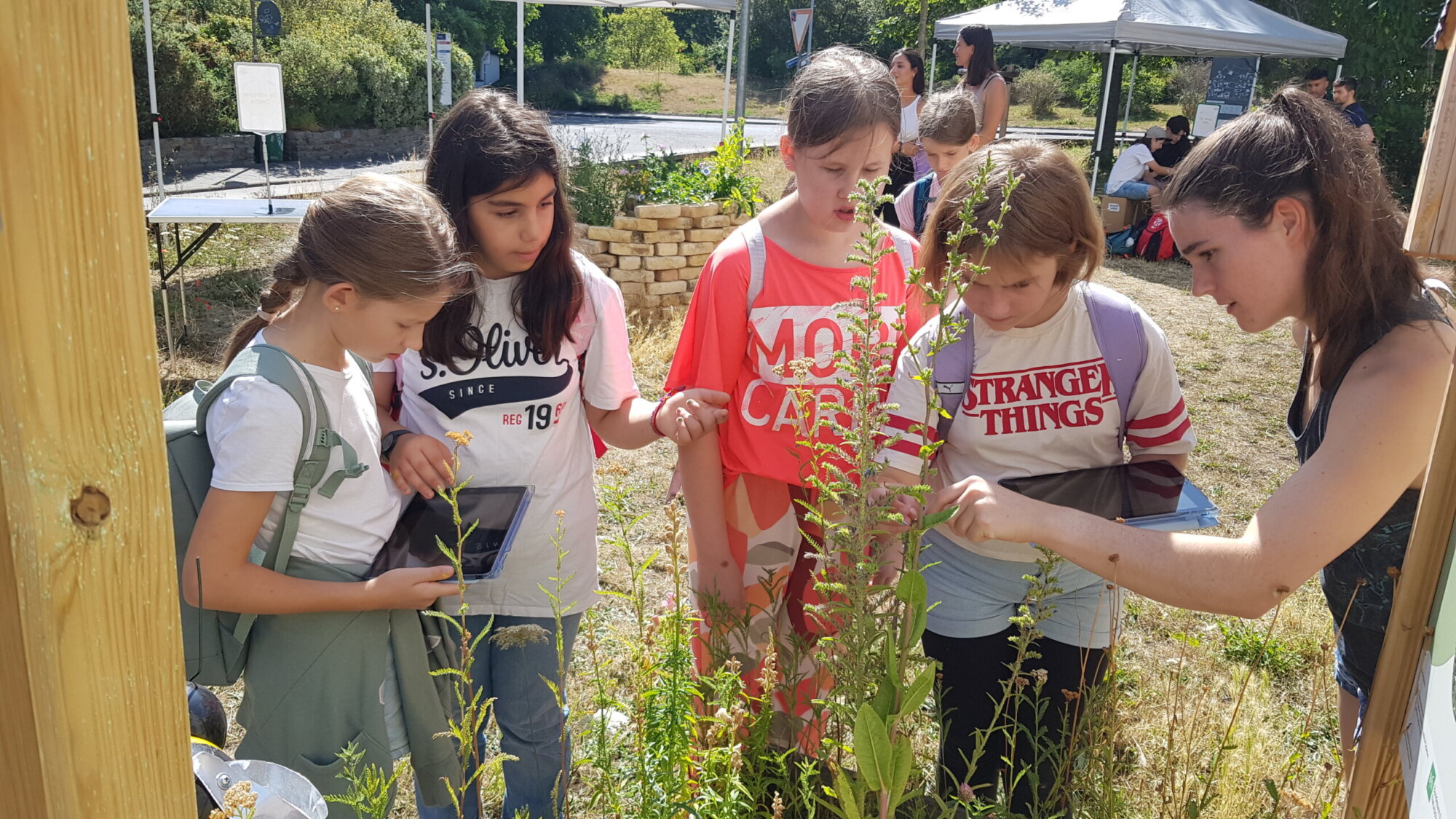 5d hilft bei der Entwicklung der Insektenspirale der Uni Mainz
