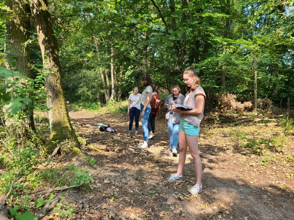 Protokoll über Exkursion im Mainzer Sand und Lennebergwald