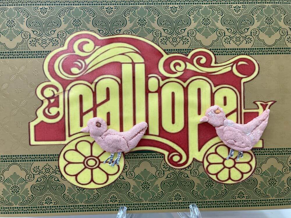 Schlossschüler erfolgreich beim Wettbewerb Jugend forscht – Schüler experimentieren 2024