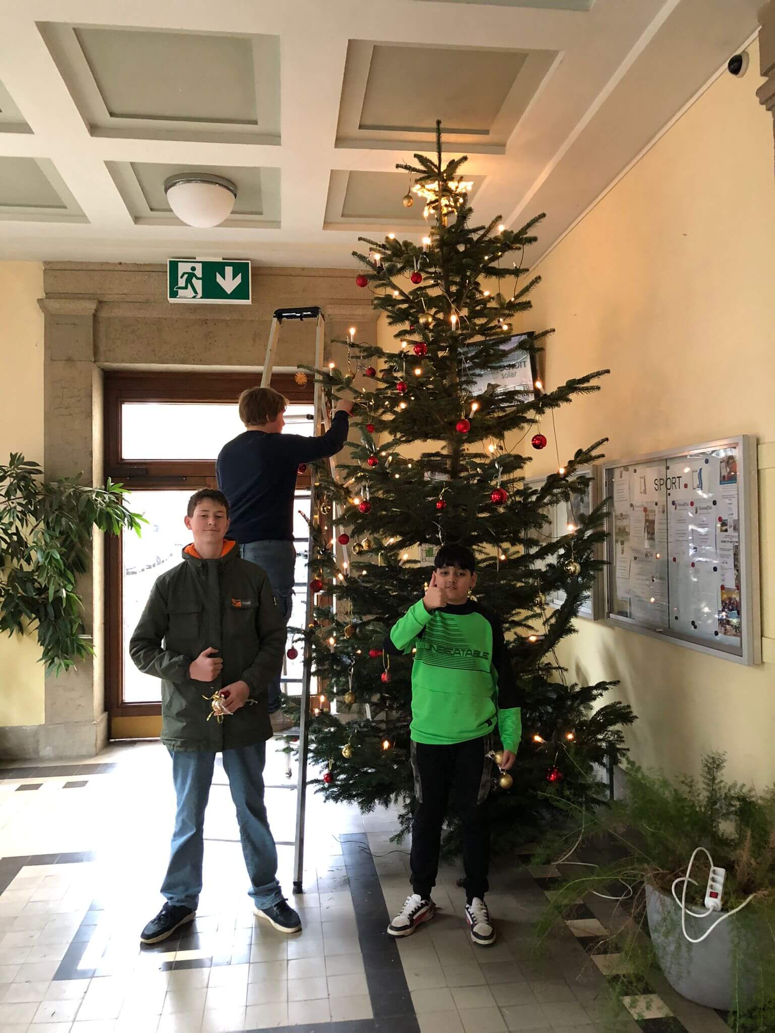 Unser Schloss Weihnachtsbaum
