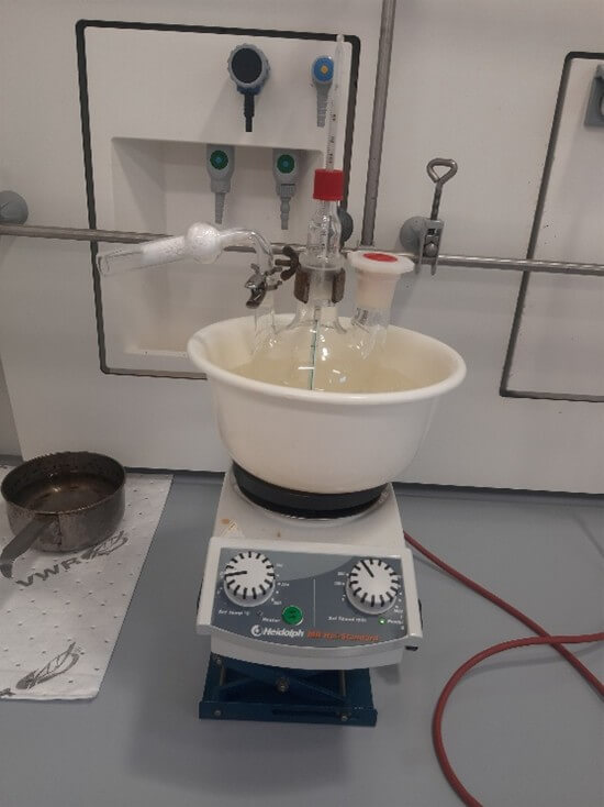 Schlossschülerin nimmt am Landesseminar der Chemieolympiade 2025 teil