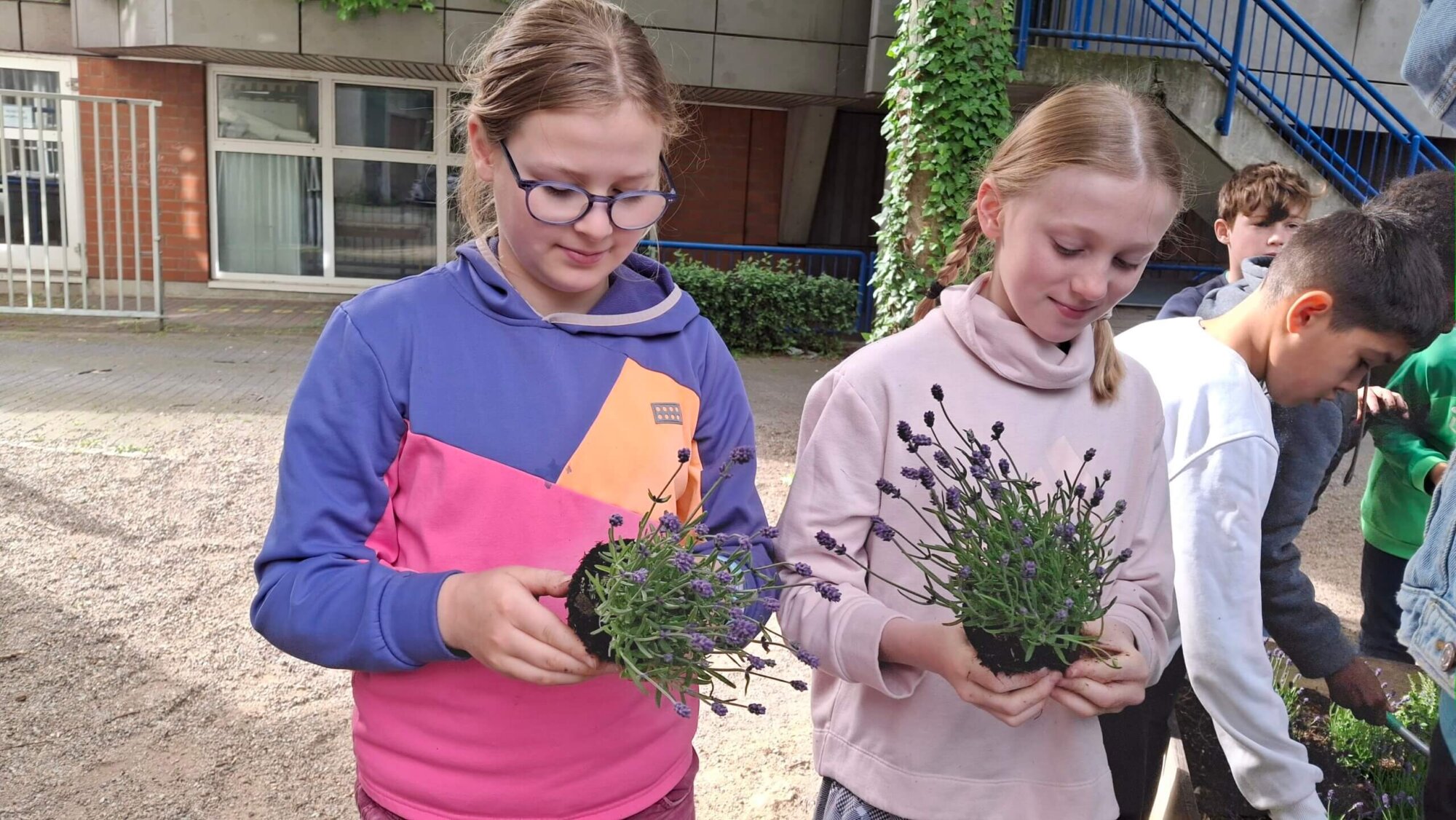 Die 5a hilft den Hummeln ums Schloßgymnasium